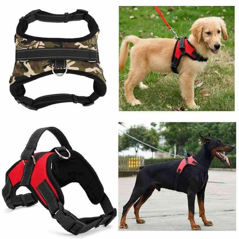 Adjustable Safety Dog Harness