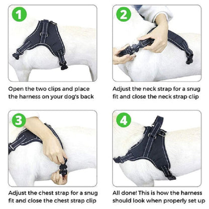 Adjustable Safety Dog Harness