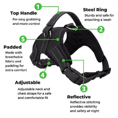 Adjustable Safety Dog Harness