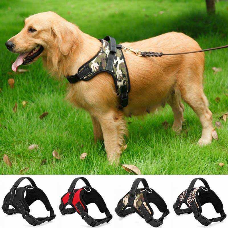 Adjustable Safety Dog Harness