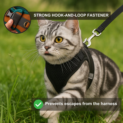 Explorer Harness | Less boredom. More discovery. A better life for your indoor cat.