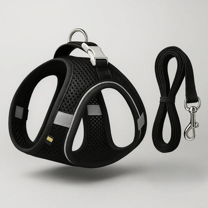 Explorer Harness | Less boredom. More discovery. A better life for your indoor cat.