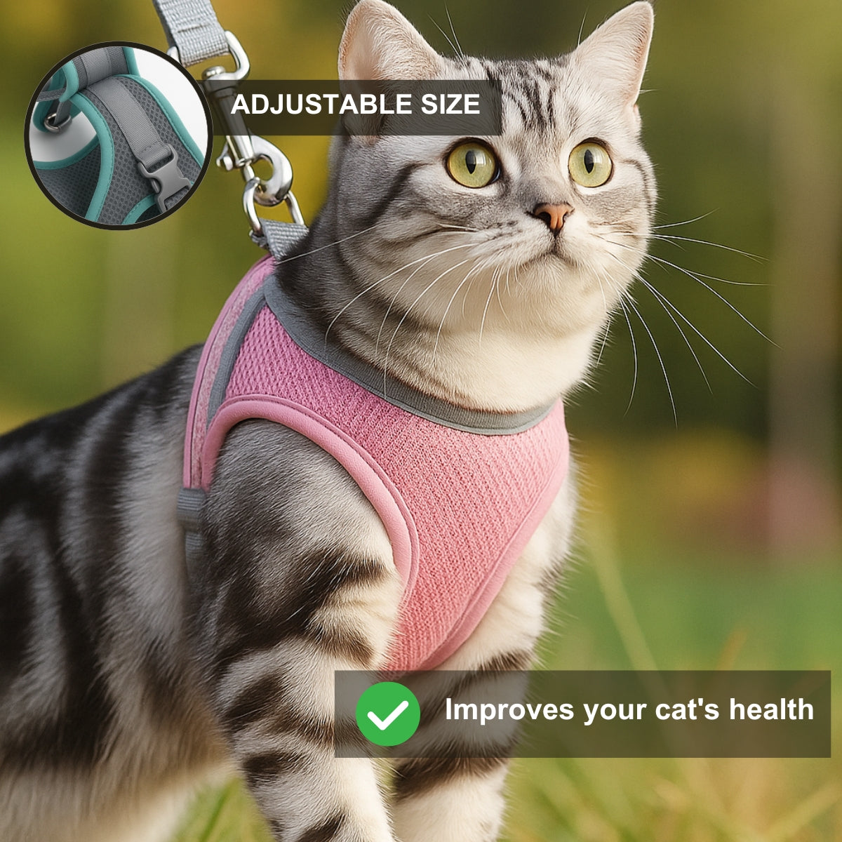 Explorer Harness | Less boredom. More discovery. A better life for your indoor cat.