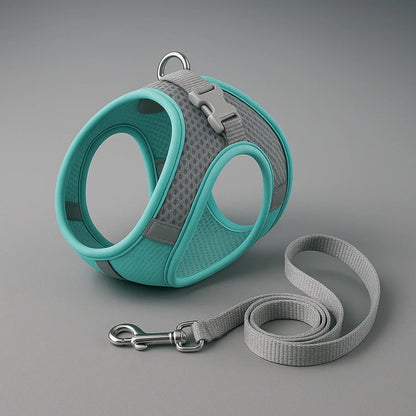 Explorer Harness | Less boredom. More discovery. A better life for your indoor cat.