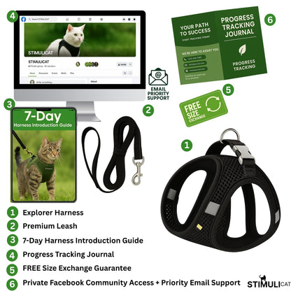 Explorer Harness | Less boredom. More discovery. A better life for your indoor cat.