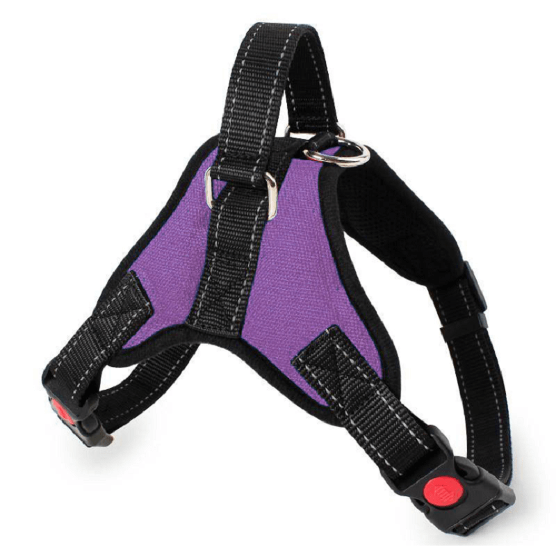 Adjustable Safety Dog Harness