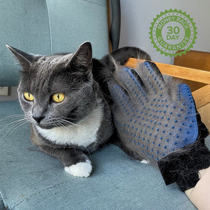 TenderTouch Glove | Less struggle. More comfort. Peaceful golden years for your senior cat. (Includes Both Hands)